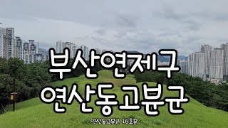 부산 연산동고분군 2021.9.4토