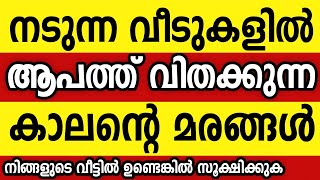 നട്ട് വളർത്തുന്ന വീടിന്‌ ആപത്താകുന്ന 9 മരങ്ങൾ, നിങ്ങളുടെ വീട്ടിലുമുണ്ടോ? Astrology