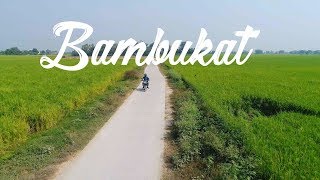 Bambukat