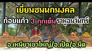 เยี่ยมชมนกเขาใหญ่มงคล3กุกเต็มราหูอมจันทร์ก้อยแก้ว