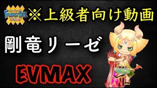 【FLO】EVMAX剛竜リーゼ【ファンタジーライフオンライン】