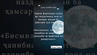 #гам #цитата #дунё #цитаты #бахт #rek #гариби #любовь #дуст #дуэт