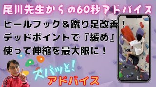 緒方選手のヒールフック・楢﨑選手の蹴り足とデッドの時の筋肉の『緩み』の使い方