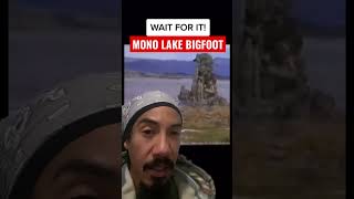 Mono Lake Bigfoot (real?) #bigfoot #cryptids #paranormal #youtubeshorts #fyp