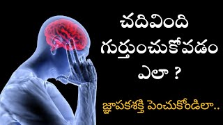 How to improve memory power in Telugu | జ్ఞాపకశక్తి పెంచుకోవడం ఎలా?