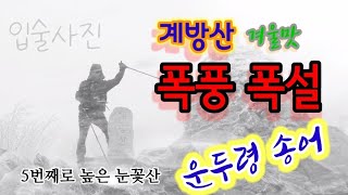 계방산 폭설, 폭풍속에 한국의 5번째로 높은산과 운두령 송어회. 한국의100대명산 오대산국립공원에 속하는 겨울산 최고추천!