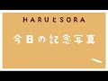 【大阪府茨木市 ペット同伴可 レストラン】 ⭐️キルシュバウムへディナー ⭐️ガーデンテラス席 ⭐️haruとsoraの遊ぶ様子を見ながらディナー トイプードル 犬 犬のいる暮らし vlog