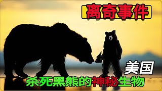 美國黃石公園離奇事件，黑熊遭遇未知生物襲擊，作案手法詭異 #神秘老樹 #案件 #探案 #懸案 #懸疑