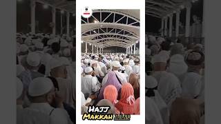 ഹജ്ജ് 2024🥰മക്ക അൽ ഹറം ശരീഫ് 😍🤲🏻#makkalivetoday #hajj2024 #hajj2024newsupdatetoday