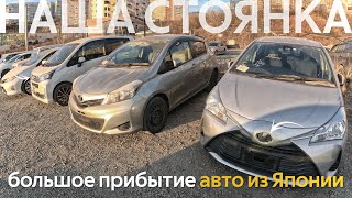 ОГРОМНОЕ ПРИБЫТИЕ АВТО ИЗ ЯПОНИИ🔥ТАКОГО ЕЩЕ НЕ БЫЛО😱АВТОМОБИЛИ ОТ 650 ТЫСЯЧ❗️КАК МЫ ВВЕЗЛИ NV200⁉️