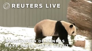 LIVE: Pandas make their public debut at National Zoo in Washington D.C.