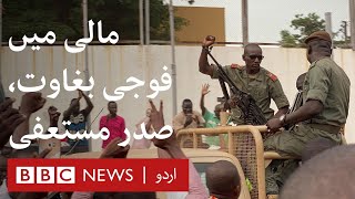 Mali coup: President quits after soldiers mutiny - BBC URDU