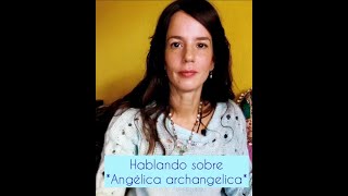 Angélica archangelica. Hablando un poco de sus propiedades medicinales y energéticas.