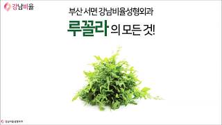 여름철 입맛을 돋궈주는 루꼴라에 대한 모든 것