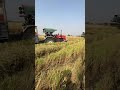 ਤੂਫਾਨ 🔥 tractor punjab farming farmer