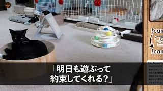 【感動する話】訳あって土木作業員として働く天才外科医の俺。ある日建築現場で偶然倒れた美人高校生を救うと「あなた一体何者？」経歴を打ち明けると…【いい話・朗読・泣ける話