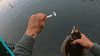 HOW TO CATCH FLUKE FROM SHORE!! FLUKE SEASON EP1 2020 + BONUS SHORELINE STRIPED BASS FOOTAGE!!!