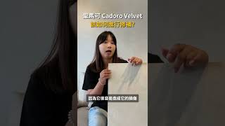 聖馬可 Cadoro Velvet，該如何進行修補