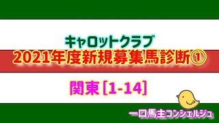 キャロットクラブ2021年度新規募集馬診断①関東［1-14］