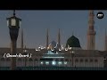 Hal-e-Dil kis Ko Sunaye Ap ﷺ Ky hoty Hue | (𝚂𝚕𝚘𝚠𝚎𝚍 + 𝚁𝚎𝚠𝚎𝚛𝚋) | urdu lyrics #naat