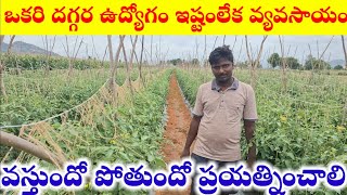 సొంతంగా బతకటం ఇష్టమంటున్న 24 ఏళ్ళ టమోటా రైతు tamota cultivation/tamota saagu #tamotafarmer #tamoto