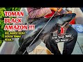 TOMAN BLACK AMAZON LAKE HEAVEN ‼️ Lesen Toman 