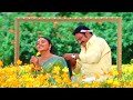 Samayaniki Tagu Sevalu Video Song - Harikrishna, Soundarya Superhit Video Song | Seethaiah Songs HD
