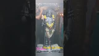 💐💐காணக்கிடைக்காத💐💐💐💐 தரிசனம் பழனி 💐💐💐🌺🌷முருகன் 🌷🏵️🌺