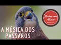 🐦Canto dos pássaros – Melodia da Natureza🐦