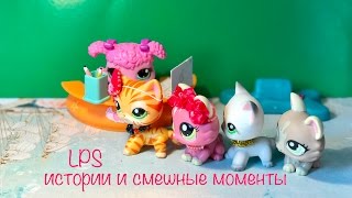 LPS/ Анекдоты , истории, смешные моменты.😁