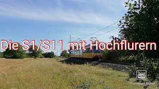 Die S1/S11 mit Hochflurern