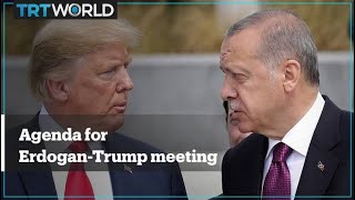 Erdogan-Trump meeting agenda