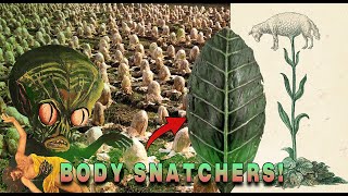 Invasion of the CABBAGES! Plant/Animal Hybrid Cloning - Parasites, \