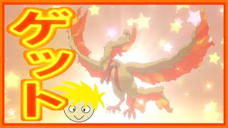 【ポケモン剣盾】色違いファイヤーの受け取りが開始されました