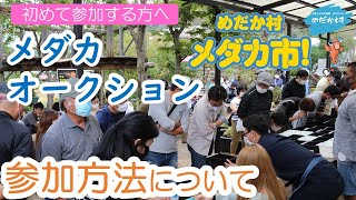 メダカオークションに参加するには？申し込みの流れを動画で紹介！