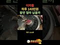 이차돌 하루 140만원 팔면 얼마 남을까