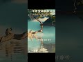 五音疗愈 （徵）火音入心 丝弦音可调理神志。