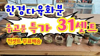 2025년 1월 17일 영상 #한경다육화분 #중고분 #수제공방분 #공방분 #다육화분 #화분 #다육이 #다육식물 #한경화분 #야생화 #아프리카식물 #공방분