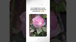 সময় তো চলে যায় থেমে থাকে না🥀