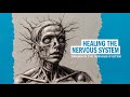 Healing the Nervous System From Trauma Somatic Experiencing