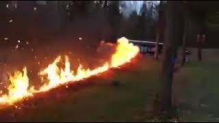 exploding leaf pile (dragonborn)