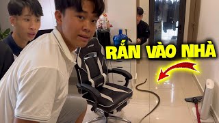 Vlog | Quý11N Nhém Xĩu Khi Phát Hiện Có Rắn Trong Phòng Bé Hân ??