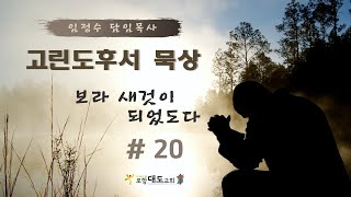 포항대도교회 고린도후서 묵상 #20 보라 새것이 되었도다