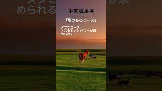 【競馬豆知識】中京競馬場の特徴を解説！ #競馬 #中京競馬場