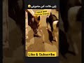 لات بمیری سامورایی🤣🤣🤣 shorts funny best love doglover