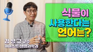 [인터뷰] 김상규_식물이 사용한다는 언어는?  | 2022 봄 카오스강연 '식물행성(plant planet)'