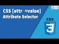 CSS [attr~=value] selector