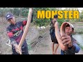 DOUBLE STRIKE BELUT MONSTER BIKIN NGILER