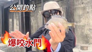 在這個水門釣到超多魚，破紀錄了啦！#前打 #釣魚 #娟娟去哪兒