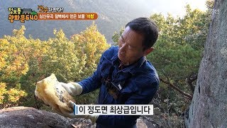 드디어 얻은 최고급 석청! 과연 고수의 비법은?! [정보통 광화문 640] 77회 20171102